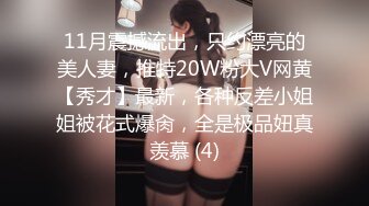 11月震撼流出，只约漂亮的美人妻，推特20W粉大V网黄【秀才】最新，各种反差小姐姐被花式爆肏，全是极品妞真羡慕 (4)