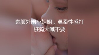 天美傳媒 TMQ005 小母狗技師的JK制服誘惑