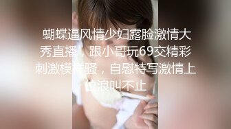 【新片速遞 】周末和美女同事民宿开房⭐先操嘴再干她的小嫩B⭐完美露脸