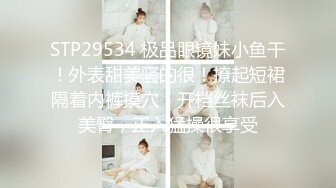 爱丝小仙女 SY028高清1080P原版