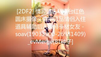 91新人Dr哥-首发第一弹极品网红脸模特