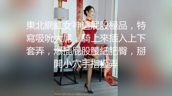 和老婆车震之二