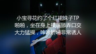 小宝寻花约了个红裙妹子TP啪啪，坐在身上摸逼舔弄口交大力猛操，呻吟娇喘非常诱人