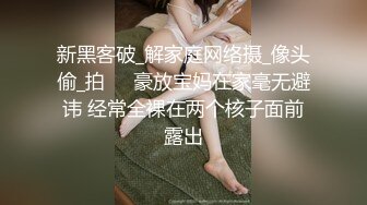 大象傳媒 AV0072 大象號第二彈 完美情人系列 金寶娜