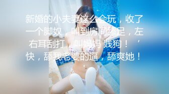 04女高极品母狗（系列二）