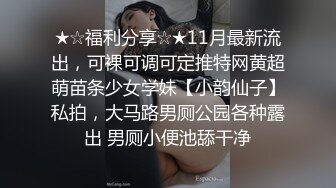 麻豆传媒-菜鸟特务 入侵者的反姦凌辱-袁子仪