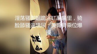 刘亦菲-黑丝空姐制服