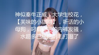 【新片速遞】 餐厅女厕全景偷拍身材苗条的极品美少妇鲍鱼被干黑了