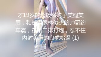 魅惑女仆