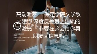 人妻少妇无码视频免费看