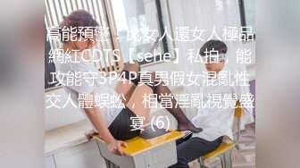 高能預警！比女人還女人極品網紅CDTS【sehe】私拍，能攻能守3P4P真男假女混亂性交人體蜈蚣，相當淫亂視覺盛宴 (6)