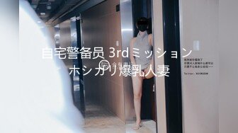 自宅警备员 3rdミッション ホシガリ爆乳人妻