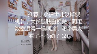 麻豆传媒 SH-008 美女特勤为了救哥哥 搜集证据