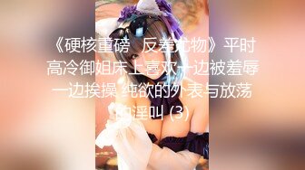 [高清无水印]91天堂系列豪华精品大片-素人约啪第六季：大蜜范女神约拍全记录