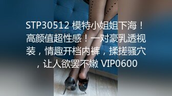 STP30512 模特小姐姐下海！高颜值超性感！一对豪乳透视装，情趣开档内裤，揉搓骚穴，让人欲罢不嫩 VIP0600