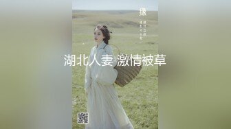 妻的外遇日记-趁老公出差约网友