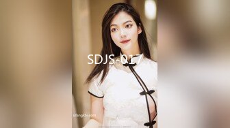 SDJS-017