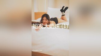 白莉爱吃巧克力”另外马甲号“小泽” 24套福利姬大尺度合集