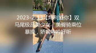 2023-2-13【用利顶你】双马尾极品美少女，美臀骑乘位暴操，娇喘呻吟好听