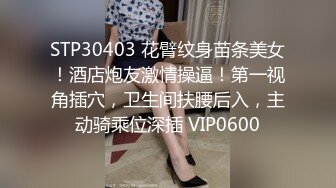 STP30403 花臂纹身苗条美女！酒店炮友激情操逼！第一视角插穴，卫生间扶腰后入，主动骑乘位深插 VIP0600