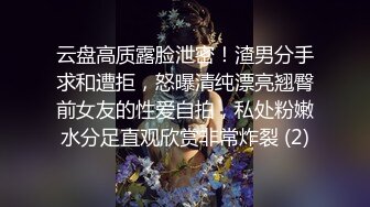 云盘高质露脸泄密！渣男分手求和遭拒，怒曝清纯漂亮翘臀前女友的性爱自拍，私处粉嫩水分足直观欣赏非常炸裂 (2)