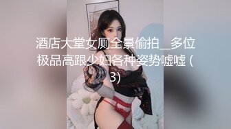 酒店大堂女厕全景偷拍__多位极品高跟少妇各种姿势嘘嘘 (3)