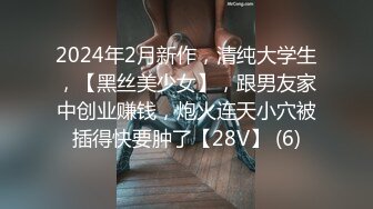 2024年2月新作，清纯大学生，【黑丝美少女】，跟男友家中创业赚钱，炮火连天小穴被插得快要肿了【28V】 (6)