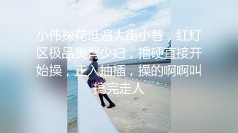 小伟探花逛遍大街小巷，红灯区极品美臀少妇，撸硬直接开始操，正入抽插，操的啊啊叫搞完走人