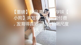 媲美秦先生91新晋大神sweattt作品与极品车模偷情呻吟超刺激1080P高清原版